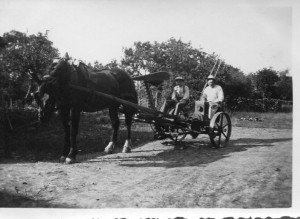 Travaux des champs dans les années 1930