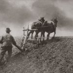 Chambre d’Agriculture de Seine et Oise : Le deuxième visage de l’agriculture par Alexandre Morlon (2/2)